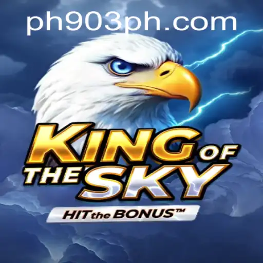 KingOfTheSky: An Exciting Journey in the Virtual Skies